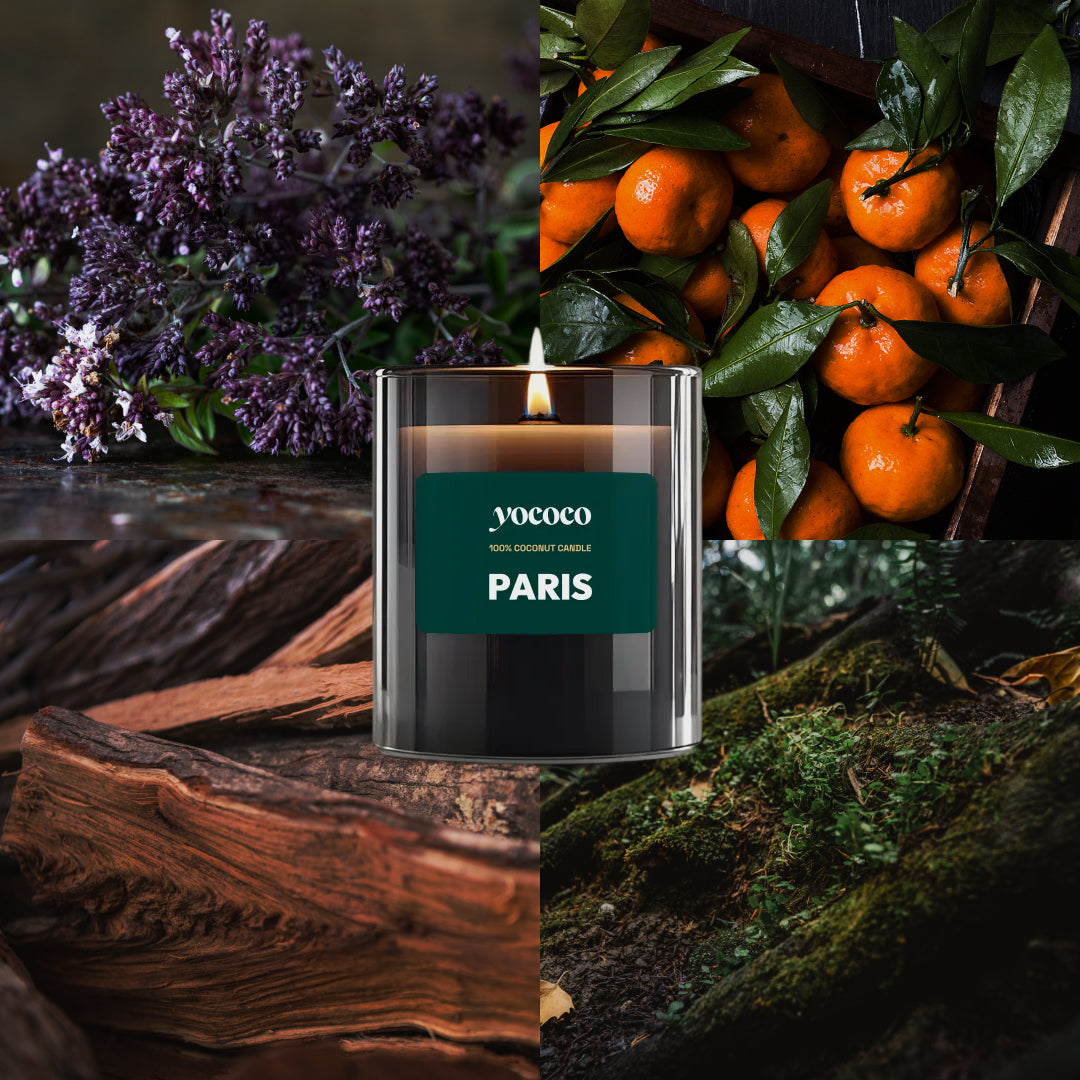 Paris | zapach : mandarynka + patchouli + piżmo